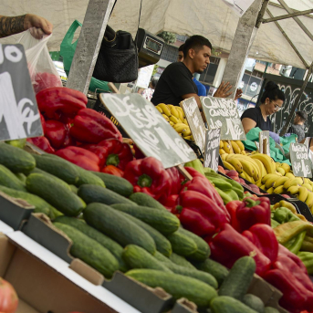 España marca un récord histórico en exportaciones ecológicas y afianza su liderazgo en Europa España marca un récord histórico en exportaciones ecológicas y afianza su liderazgo en Europa