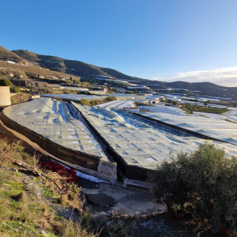 Agricultores alertan de daños graves en invernaderos de Carchuna y zonas cercanas tras el temporal