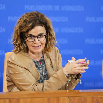 Por Andalucía plantea una enmienda a la Ley de Turismo Sostenible por ser principios retóricos sin obligaciones Por Andalucía plantea una enmienda a la Ley de Turismo Sostenible por ser principios retóricos sin obligaciones