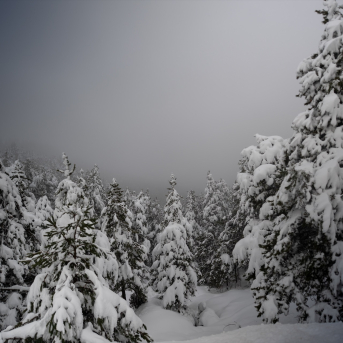 EuropaPress 7188858 estacion esqui molina temporal nieve girona 28 diciembre 2025 girona