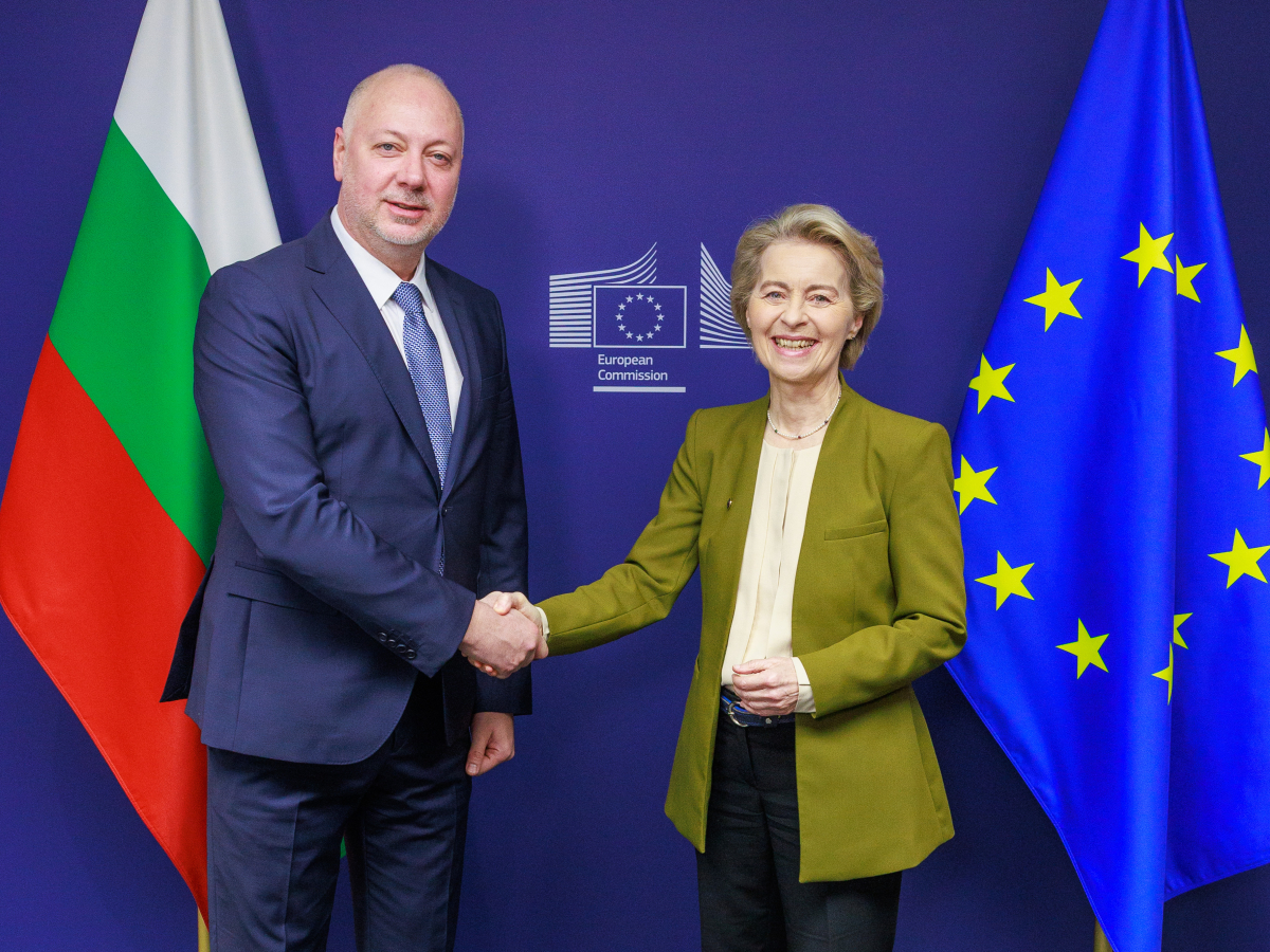 P065249 909342 P065249 909342