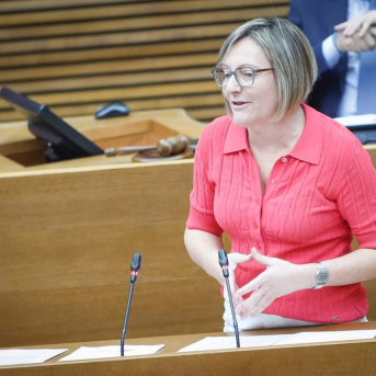 La portavoz adjunta en Les Corts, María José Salvador, PSPV La portavoz adjunta en Les Corts, María José Salvador, PSPV