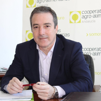 Agua, empleo rural y relevo generacional, desafíos clave de Cooperativas Agro-alimentarias de Andalucía para 2026 Agua, empleo rural y relevo generacional, desafíos clave de Cooperativas Agro-alimentarias de Andalucía para 2026