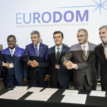 Sánchez traslada a Canarias su "respaldo" para defender su estatus RUP en el Marco Financiero Plurianual de la UE GOBIERNO DE CANARIAS