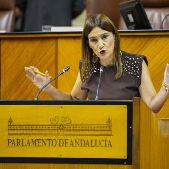La diputada del PSOE-A Olga Manzano interviene en el Pleno del Parlamento andaluz. (Foto de archivo). JOAQUÍN CORCHERO/PARLAMENTO DE ANDALUCÍA La diputada del PSOE-A Olga Manzano interviene en el Pleno del Parlamento andaluz. (Foto de archivo). JOAQUÍN CORCHERO/PARLAMENTO DE ANDALUCÍA