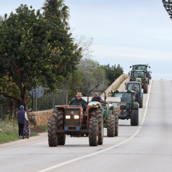 Los agricultores ecológicos de Mallorca alertan de que el pacto UE-Mercosur traerá competencia desleal