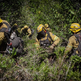 Un grupo de brigadistas trabaja en la contención del fuego en la provincia argentina de Chubut AGENCIA FEDERAL DE EMERGENCIAS DE ARGENTINA