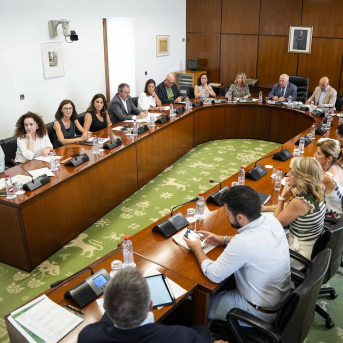 El PP-A tumba el pleno extraordinario de enero pedido por la izquierda sobre sanidad y financiación autonómica