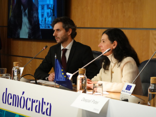 DEMOCRATA PRESENTE Y FUTURO SALUD RX  48