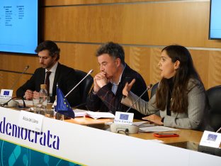 DEMOCRATA PRESENTE Y FUTURO SALUD RX  100