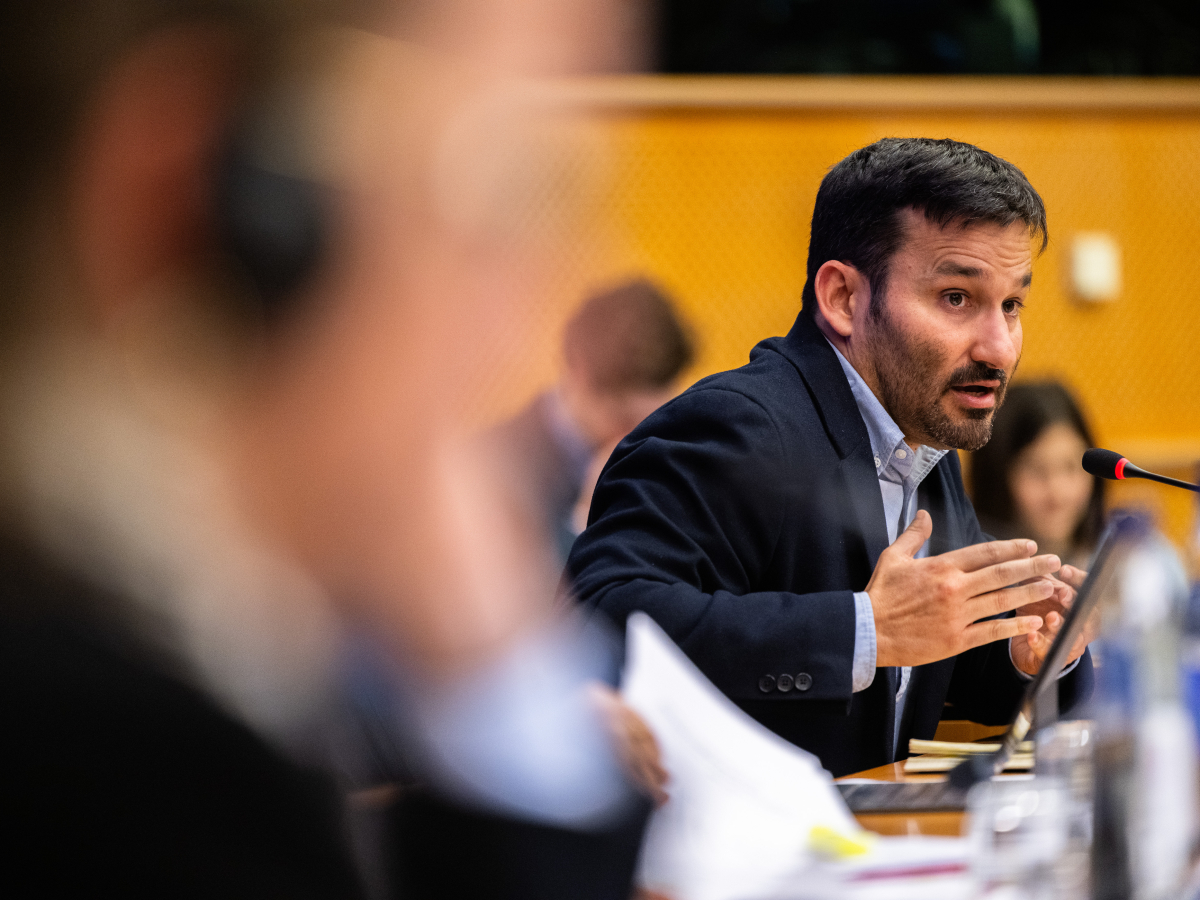 Exchange of views with Teresa Ribera, Executive Vice - President of the European Commission for Clean, Just and Competitive Transition