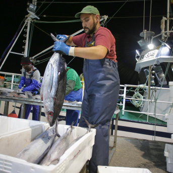 Armadores y marineros se movilizan en Cambados contra el inasumible diario electrónico de pesca Armadores y marineros se movilizan en Cambados contra el inasumible diario electrónico de pesca