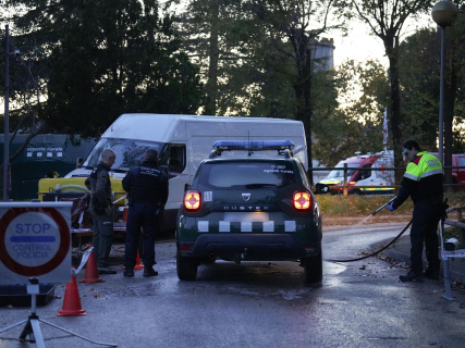 Detectados 13 nuevos casos de peste porcina africana en jabalíes de Collserola