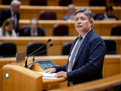 El senador del PP Luis Javier Santamaría interviene durante una sesión de control al Gobierno en el Senado, a 10 de junio de 2025, en Madrid (España). A. Pérez Meca - Europa Press