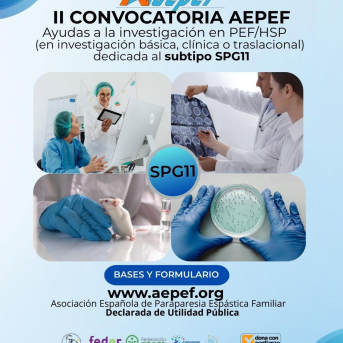 La Asociación Española de Paraparesia Espástica Familiar (AEPEF) ha abierto la segunda convocatoria de ayudas a la investigación del subtipo SPG11. LA ASOCIACIÓN DE PARAPARESIA ESPÁSTICA FAMILIAR La Asociación Española de Paraparesia Espástica Familiar (AEPEF) ha abierto la segunda convocatoria de ayudas a la investigación del subtipo SPG11. LA ASOCIACIÓN DE PARAPARESIA ESPÁSTICA FAMILIAR