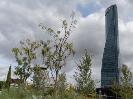 Vista de la Torre Espacio, a 16 de octubre de 2023, en Madrid, con el logo de OHLA en lo alto Eduardo Parra - Europa Press