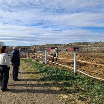 Rincón pone en valor el sector equino en María de Huerva