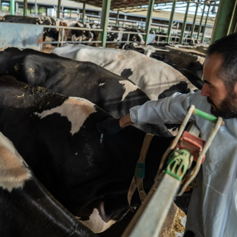 El Govern liquida 1,5 millones pendientes en indemnizaciones por la DNC El Govern liquida 1,5 millones pendientes en indemnizaciones por la DNC