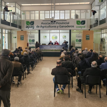 Agricultores de Guadalajara denuncian graves pérdidas por la plaga de conejos y exigen acción inmediata a la Junta