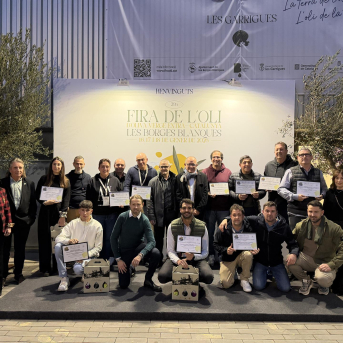 La Fira de l'Oli distingue 12 aceites por su excelencia, calidad y diversidad