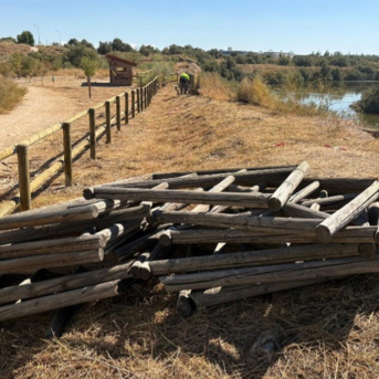 Concluye la recuperación de dos humedales del Parque Regional del Sureste tras las inundaciones de marzo