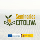 Citoliva llevará seminarios sobre los retos del olivar a las principales zonas productoras de España