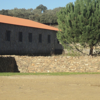 La compraventa de fincas rústicas sube en pleno debate por el acceso a la tierra