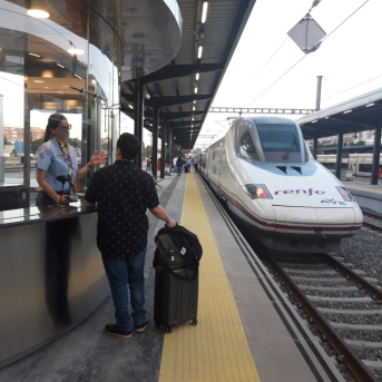AVE en la estación de trenes de Granada MINISTERIO DE TRANSPORTES