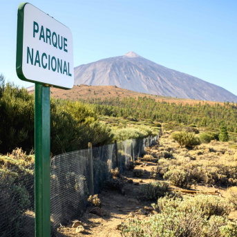 Parque Nacional del Teide CABILDO DE TENERIFE