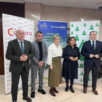 Castilla-La Mancha reivindica el olivar como motor de cohesión económica, social y territorial