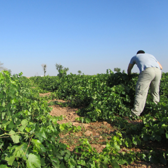 Asaja logra el respaldo de Vox a la protesta del día 29 en Toledo: “Necesitamos unidad, nos jugamos mucho”