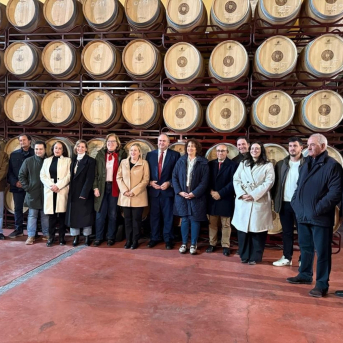 Las ayudas Vinati suman 84 proyectos en Castilla-La Mancha y movilizan 55 millones de euros Las ayudas Vinati suman 84 proyectos en Castilla-La Mancha y movilizan 55 millones de euros