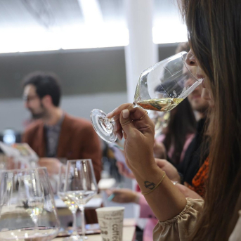 La feria FINE 2026 cita al sector del vino en Valladolid y suma el oleoturismo a su propuesta La feria FINE 2026 cita al sector del vino en Valladolid y suma el oleoturismo a su propuesta