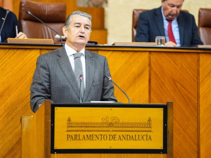 Sanz solicita explicar en el Pleno del Parlamento la gestión de las emergencias