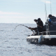 Pescadores recreativos en pleno combate con un atún rojo durante la jornada de marcaje científico del Scientific Angler Tagging Tour en l’Ametlla de Mar (Tarragona). DANIEL REY. SEO/BIRDLIFE