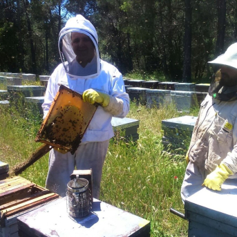La Unió urge a Barrachina a conservar la atención presencial en el censo ganadero anual