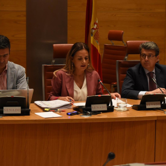 El PP llama a Susana Sumelzo al Senado el 2 de febrero, en plena campaña electoral en Aragón El PP llama a Susana Sumelzo al Senado el 2 de febrero, en plena campaña electoral en Aragón