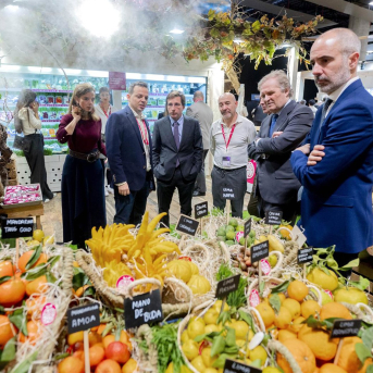 El alcalde de Madrid, José Luis Martínez-Almeida, durante su visita a la XXIII edición de ‘Madrid Fusión Alimentos de España’, en IFEMA, a 27 de enero de 2025, en Madrid (España). Alberto Ortega - Europa Press El alcalde de Madrid, José Luis Martínez-Almeida, durante su visita a la XXIII edición de ‘Madrid Fusión Alimentos de España’, en IFEMA, a 27 de enero de 2025, en Madrid (España). Alberto Ortega - Europa Press