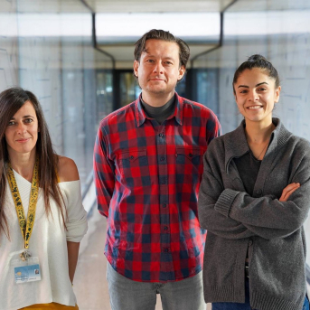 Crean un material pionero para capturar dióxido de carbono en ambientes con alta humedad