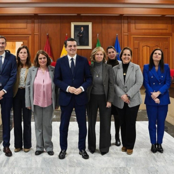 Encuentro institucional en el Ayuntamiento de Córdoba con Indra Group. INDRA GROUP