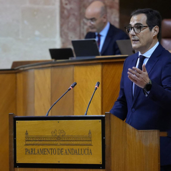 Luz verde inicial en el Parlamento andaluz a las leyes de los colegios de Detectives y de Psicopedagogos
