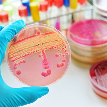 Microbiología. SEIMC