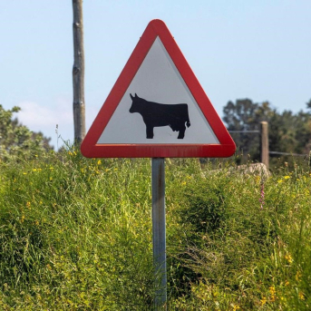 La Xunta activará el jueves nuevas ayudas para modernizar los caminos rurales municipales