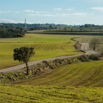 El Govern activa este domingo la DUN 2026 con 320 millones en ayudas al campo catalán