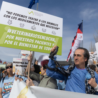 Agricultura planea cambiar la Ley del Medicamento para dar más margen de criterio clínico a los veterinarios