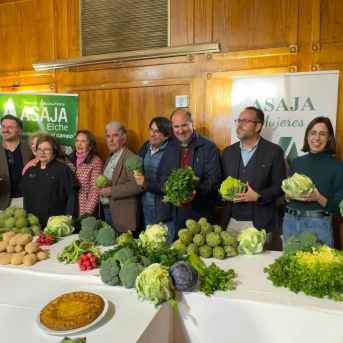 El Camp d'Elx prevé una cosecha récord de 24 millones de kilos de hortalizas de invierno
