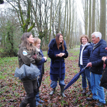 La Xunta impulsa nuevas ayudas para reforestar tras la corta de madera