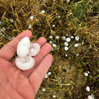 Las indemnizaciones del seguro agrario en Aragón crecerán un 32% en 2025 hasta 91 millones, sobre todo por el granizo