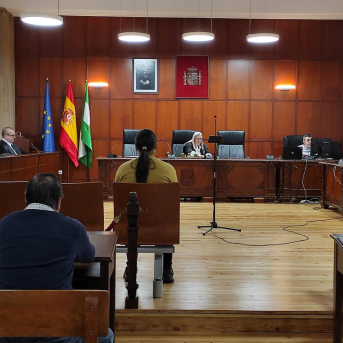 La acusada ante el tribunal EUROPA PRESS