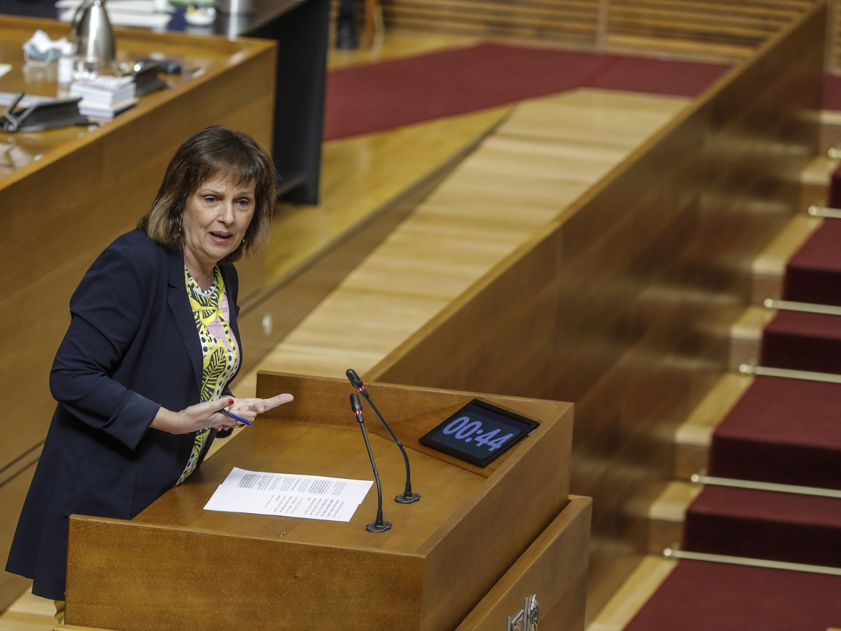 La diputada socialista Carmen Martínez durante su intervención en una sesión ordinaria en las Corts Valencianes (2020) | Rober Solsona